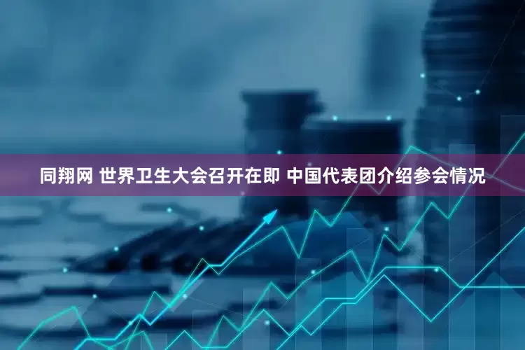同翔网 世界卫生大会召开在即 中国代表团介绍参会情况