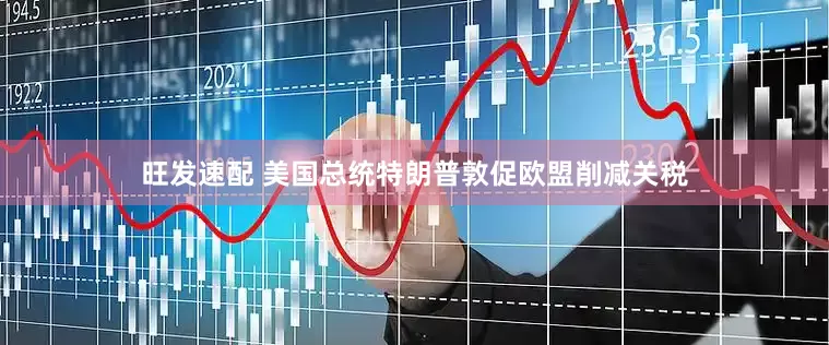 旺发速配 美国总统特朗普敦促欧盟削减关税