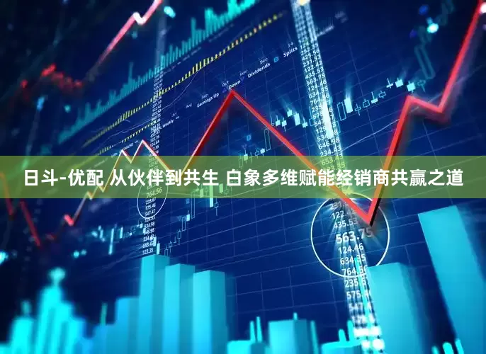 日斗-优配 从伙伴到共生 白象多维赋能经销商共赢之道