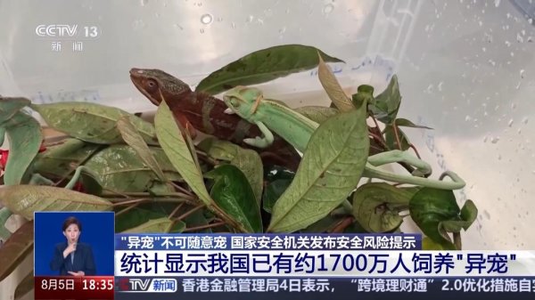 e路配资 “异宠”不可随意宠！国家安全机关发布安全风险提示