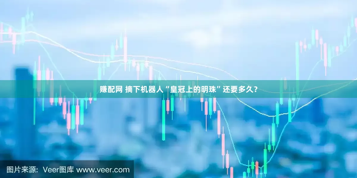 赚配网 摘下机器人“皇冠上的明珠”还要多久？