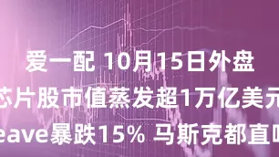 爱一配 10月15日外盘头条：美芯片股市值蒸发超1万亿美元 CoreWeave暴跌15% 马斯克都直呼“吓人” 戴尔重挫11%